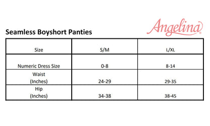 Seamless Microfiber Boyshort Panties (6-Pack)